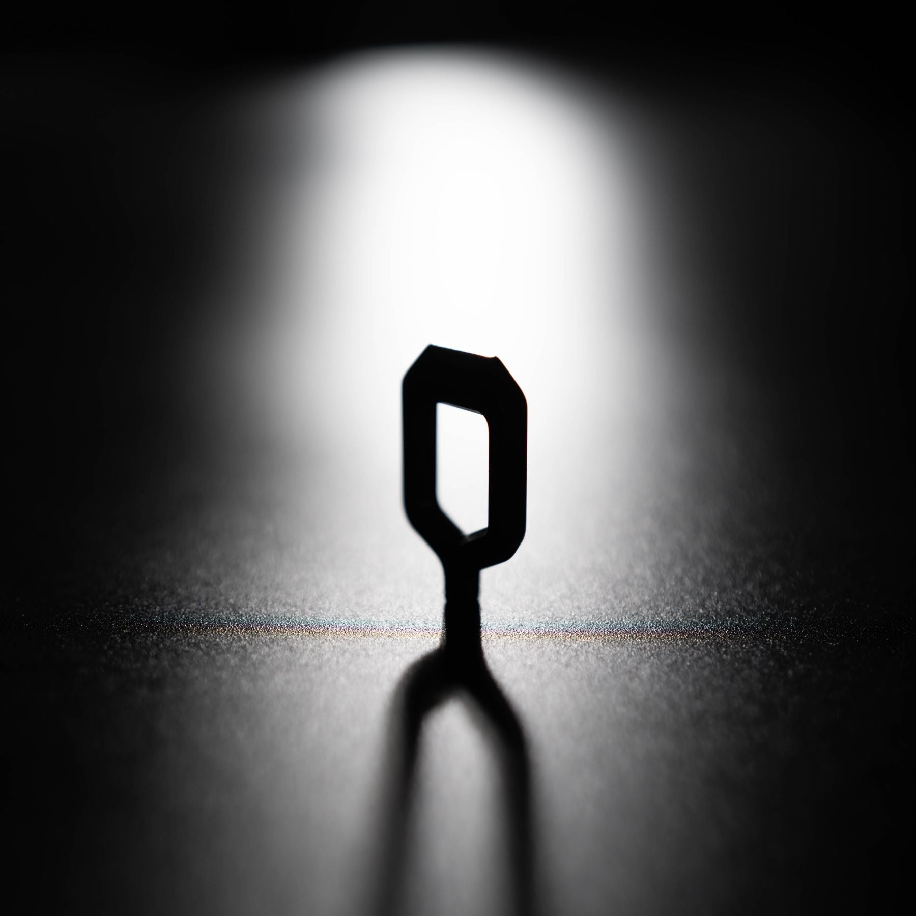 CAMTWIST [カムツイスト]